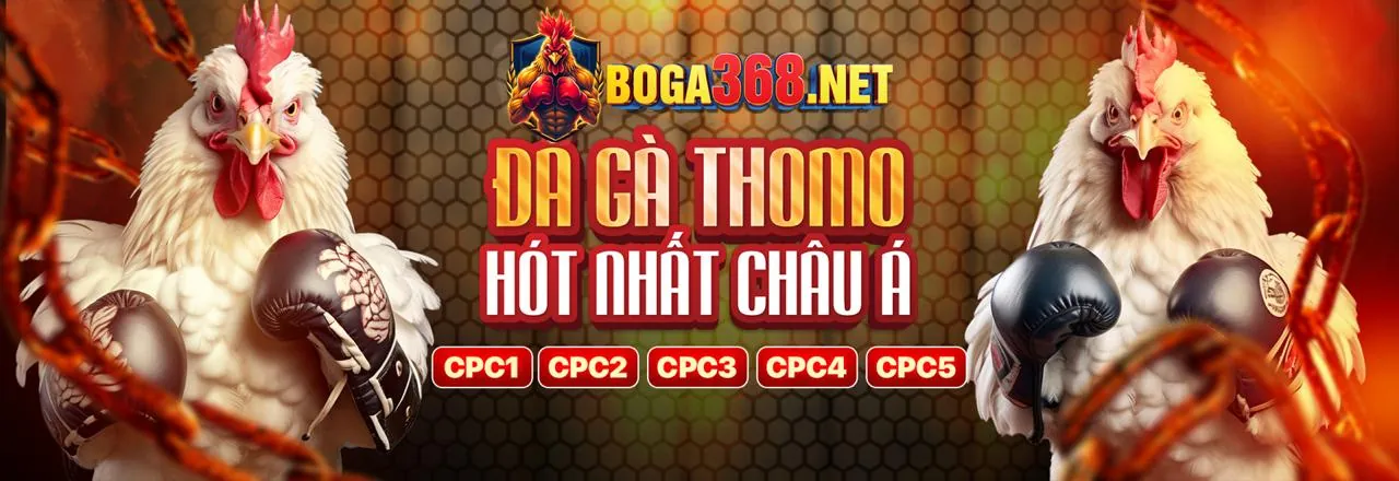 Hoàn Trả Tiền Cược loto288